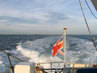 BlueMarlin IV