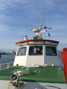 BlueMarlinIV